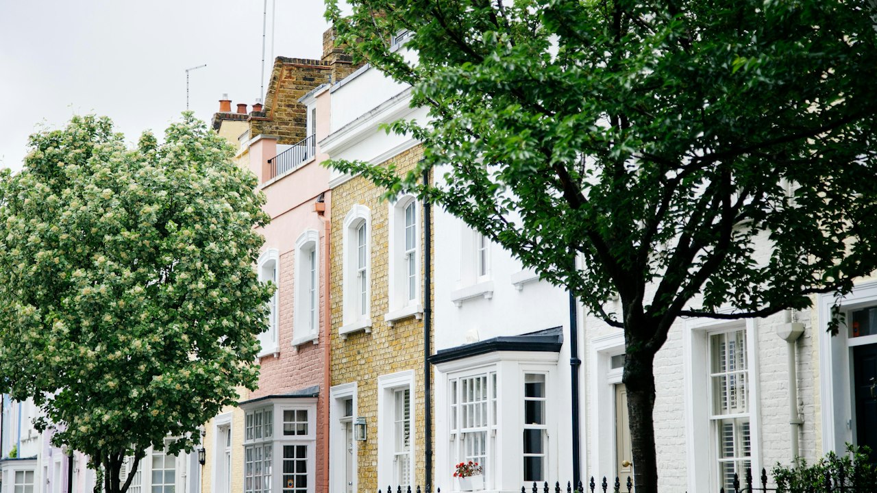 Pastel-coloured terraced houses behind flowering street trees
